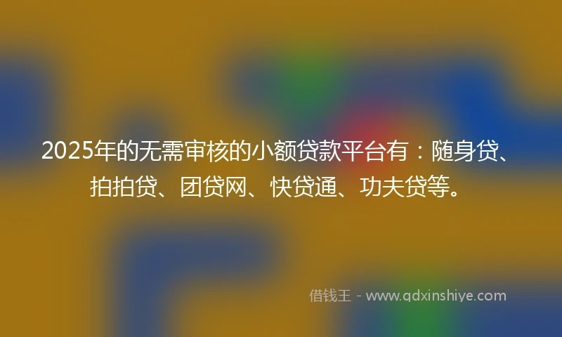 2025年的无需审核的小额贷款平台有：随身贷、拍拍贷、团贷网、快贷通、功夫贷等。