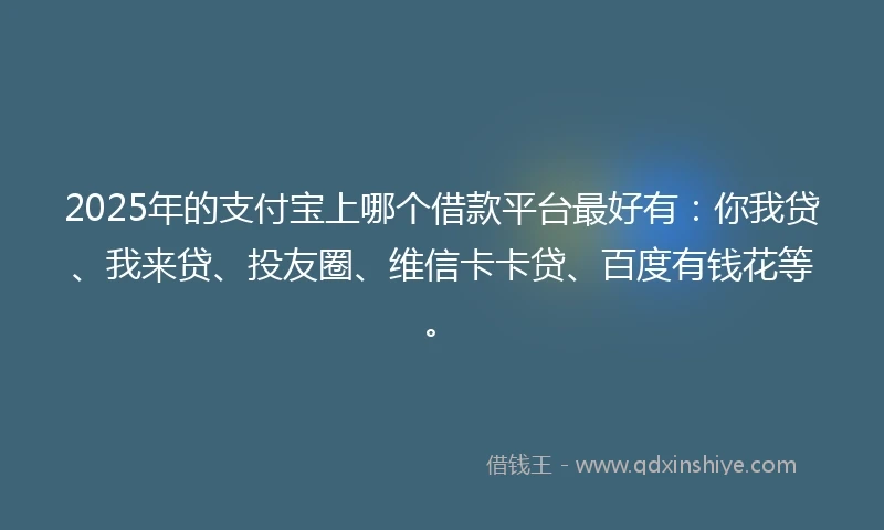 2025年的支付宝上哪个借款平台最好有：你我贷、我来贷、投友圈、维信卡卡贷、百度有钱花等。