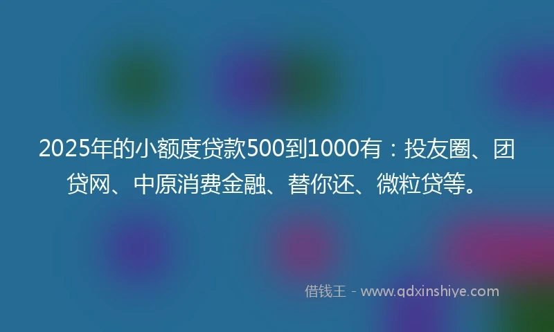 2025年的小额度贷款500到1000有：投友圈、团贷网、中原消费金融、替你还、微粒贷等。
