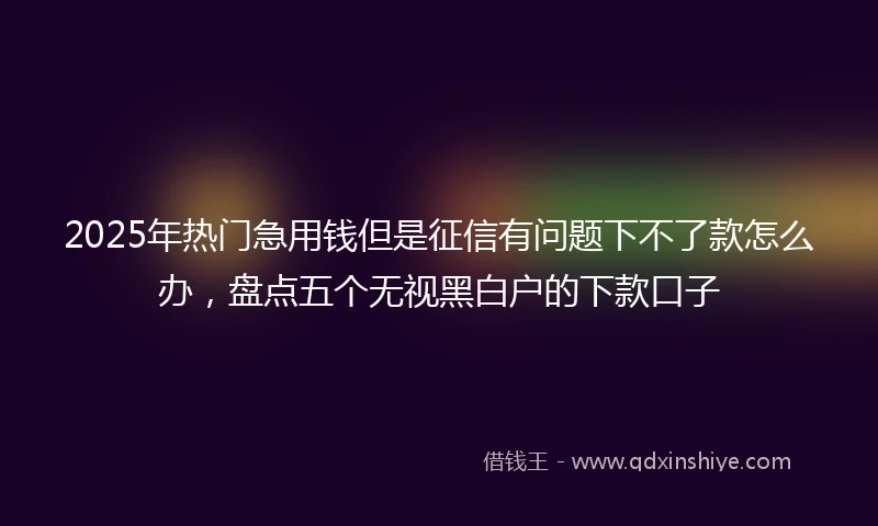2025年热门急用钱但是征信有问题下不了款怎么办，盘点五个无视黑白户的下款口子