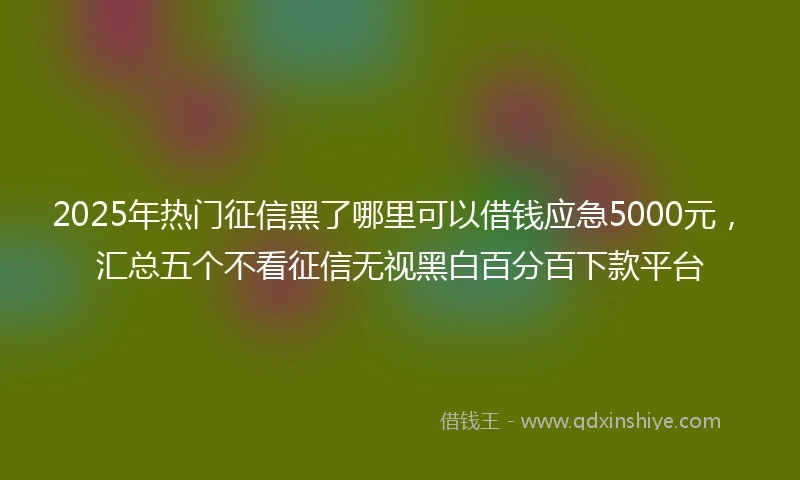 2025年热门征信黑了哪里可以借钱应急5000元，汇总五个不看征信无视黑白百分百下款平台