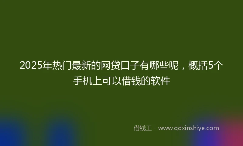 2025年热门最新的网贷口子有哪些呢，概括5个手机上可以借钱的软件