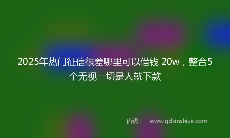2025年热门征信很差哪里可以借钱 20w,整合5个无视一切是人就下款