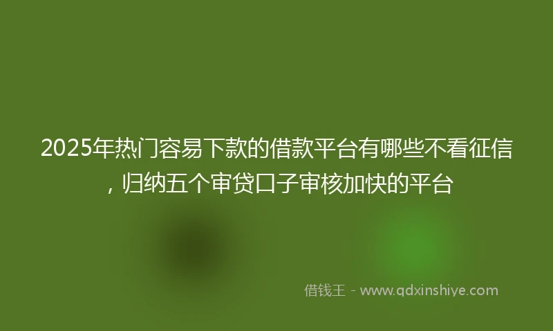 2025年热门容易下款的借款平台有哪些不看征信，归纳五个审贷口子审核加快的平台