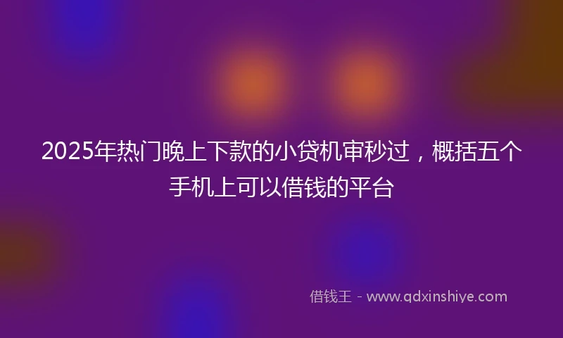 2025年热门晚上下款的小贷机审秒过，概括五个手机上可以借钱的平台