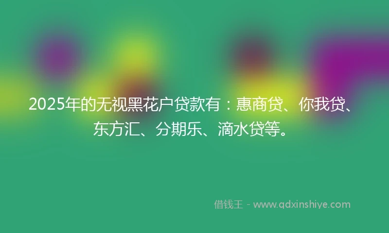 2025年的无视黑花户贷款有：惠商贷、你我贷、东方汇、分期乐、滴水贷等。