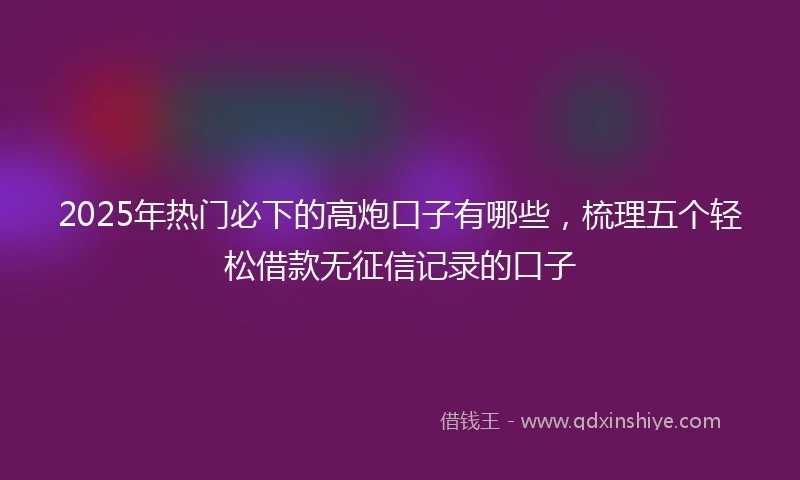 2025年热门必下的高炮口子有哪些，梳理五个轻松借款无征信记录的口子