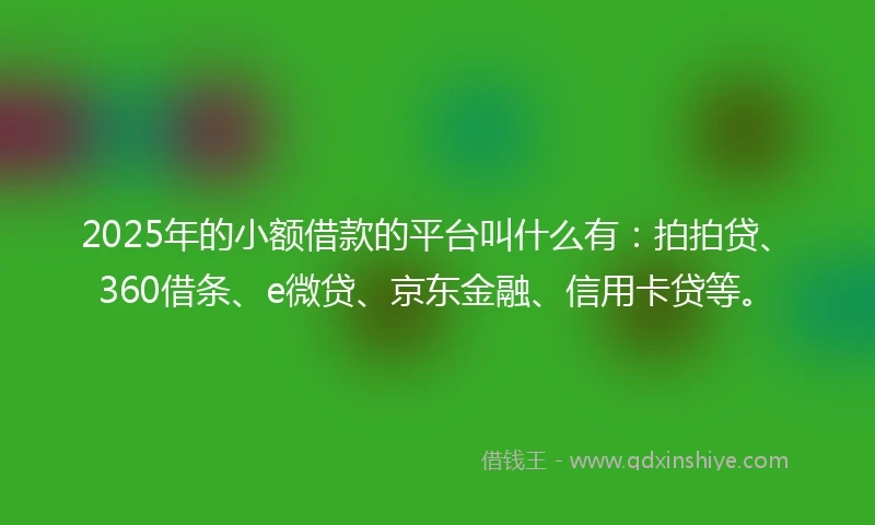 2025年的小额借款的平台叫什么有：拍拍贷、360借条、e微贷、京东金融、信用卡贷等。