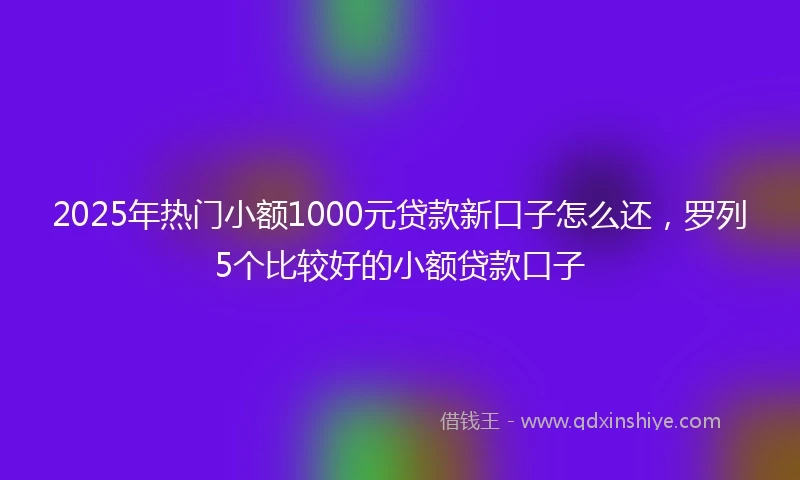 2025年热门小额1000元贷款新口子怎么还，罗列5个比较好的小额贷款口子
