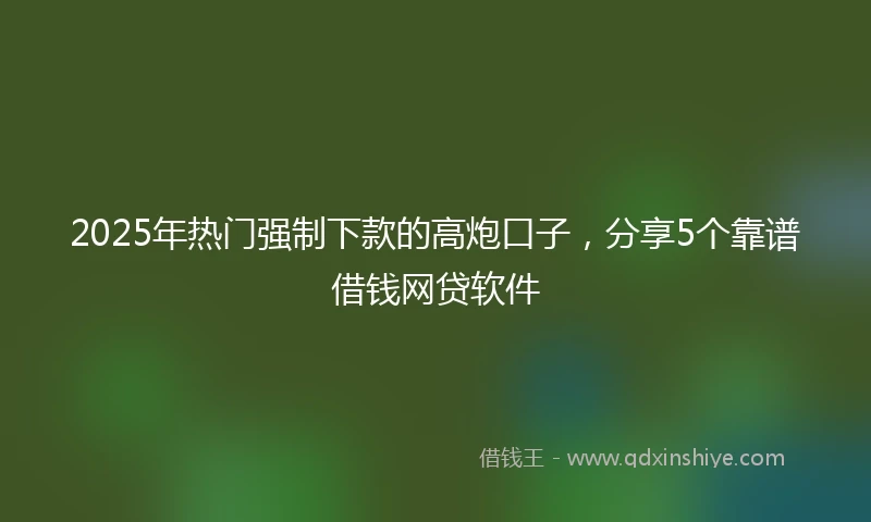 2025年热门强制下款的高炮口子，分享5个靠谱借钱网贷软件