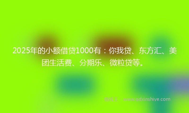 2025年的小额借贷1000有：你我贷、东方汇、美团生活费、分期乐、微粒贷等。