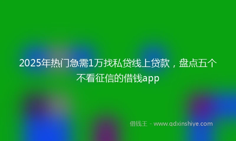 2025年热门急需1万找私贷线上贷款，盘点五个不看征信的借钱app