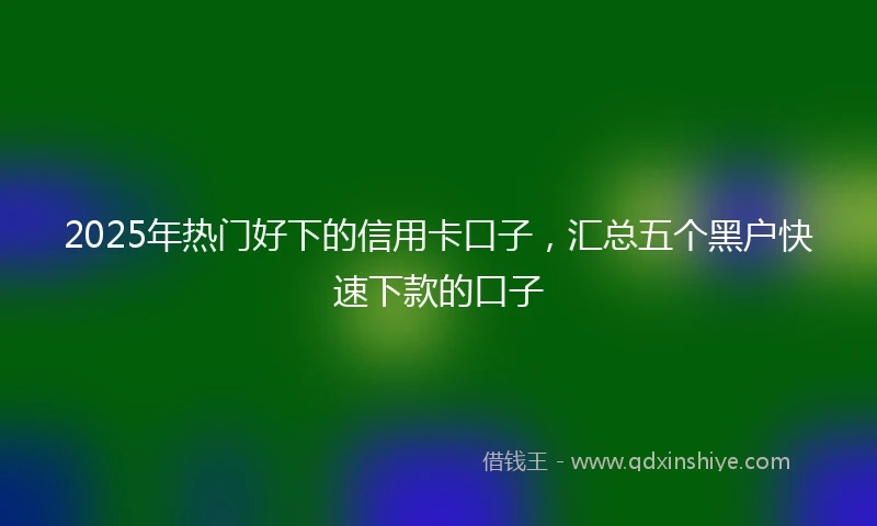 2025年热门好下的信用卡口子，汇总五个黑户快速下款的口子