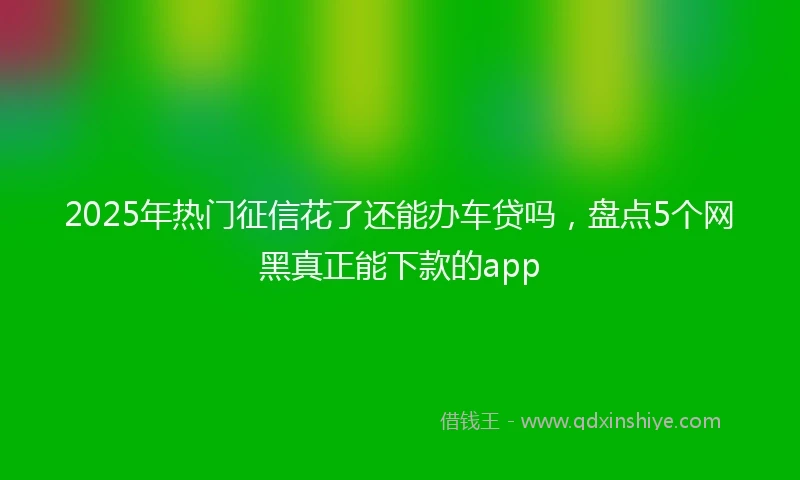 2025年热门征信花了还能办车贷吗，盘点5个网黑真正能下款的app