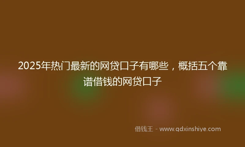 2025年热门最新的网贷口子有哪些，概括五个靠谱借钱的网贷口子