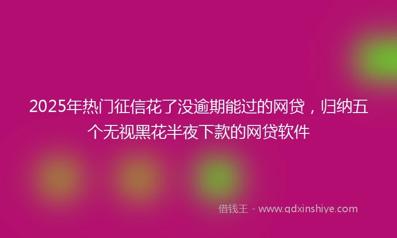 2025年热门征信花了没逾期能过的网贷,归纳五个无视黑花半夜下款的网贷软件