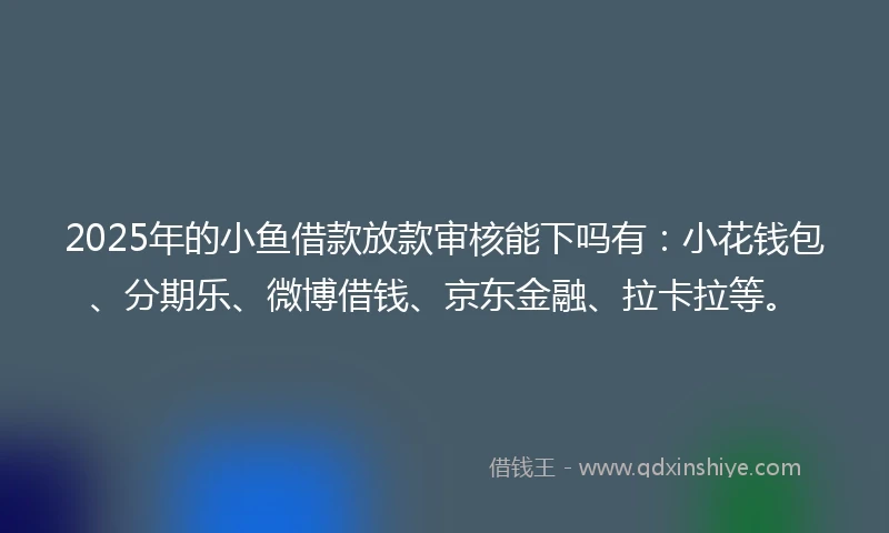2025年的小鱼借款放款审核能下吗有：小花钱包、分期乐、微博借钱、京东金融、拉卡拉等。