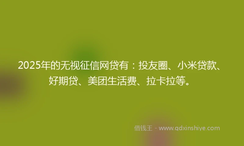 2025年的无视征信网贷有：投友圈、小米贷款、好期贷、美团生活费、拉卡拉等。