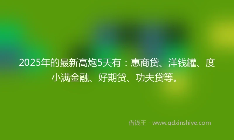 2025年的最新高炮5天有：惠商贷、洋钱罐、度小满金融、好期贷、功夫贷等。