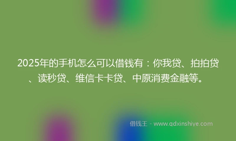 2025年的手机怎么可以借钱有：你我贷、拍拍贷、读秒贷、维信卡卡贷、中原消费金融等。