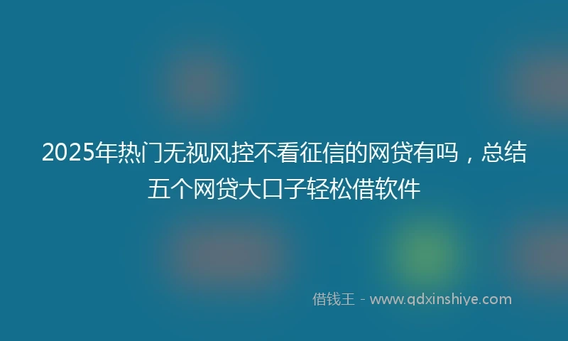 2025年热门无视风控不看征信的网贷有吗，总结五个网贷大口子轻松借软件