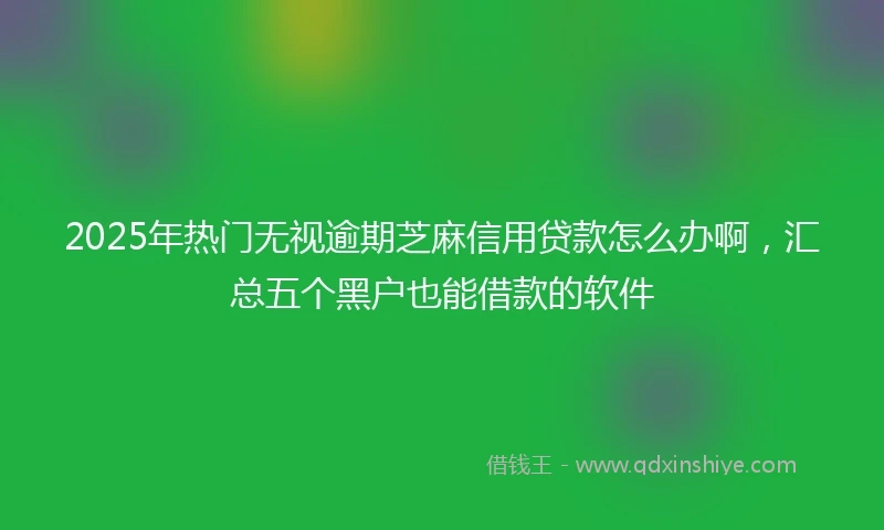 2025年热门无视逾期芝麻信用贷款怎么办啊，汇总五个黑户也能借款的软件