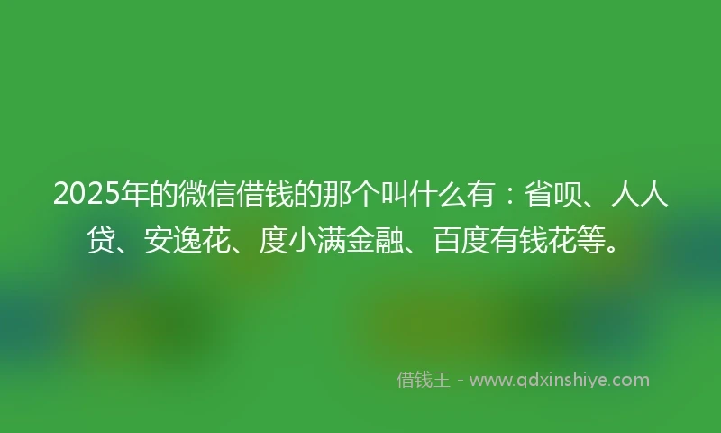 2025年的微信借钱的那个叫什么有：省呗、人人贷、安逸花、度小满金融、百度有钱花等。
