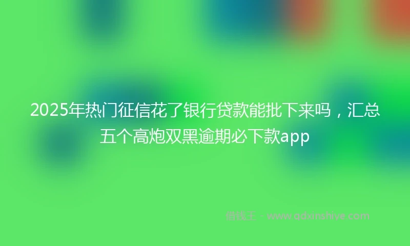 2025年热门征信花了银行贷款能批下来吗,汇总五个高炮双黑逾期必下款app