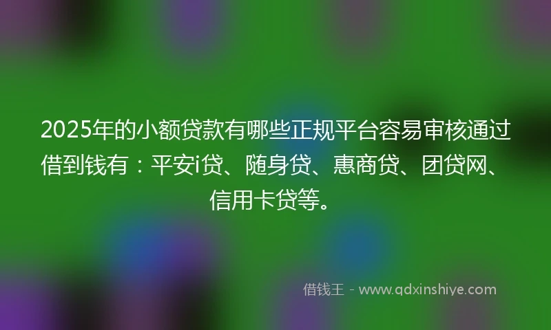 2025年的小额贷款有哪些正规平台容易审核通过借到钱有：平安i贷、随身贷、惠商贷、团贷网、信用卡贷等。