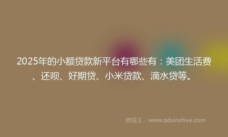 2025年的小额贷款新平台有哪些有：美团生活费、还呗、好期贷、小米贷款、滴水贷等。