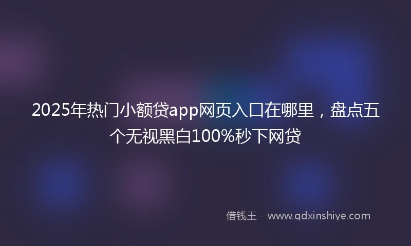 2025年热门小额贷app网页入口在哪里，盘点五个无视黑白100%秒下网贷