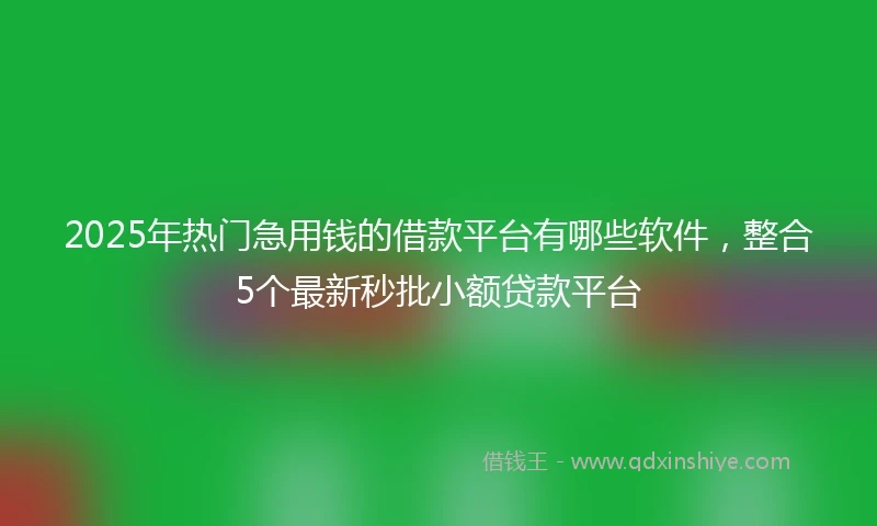 2025年热门急用钱的借款平台有哪些软件，整合5个最新秒批小额贷款平台