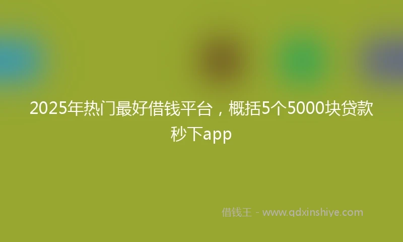 2025年热门最好借钱平台，概括5个5000块贷款秒下app