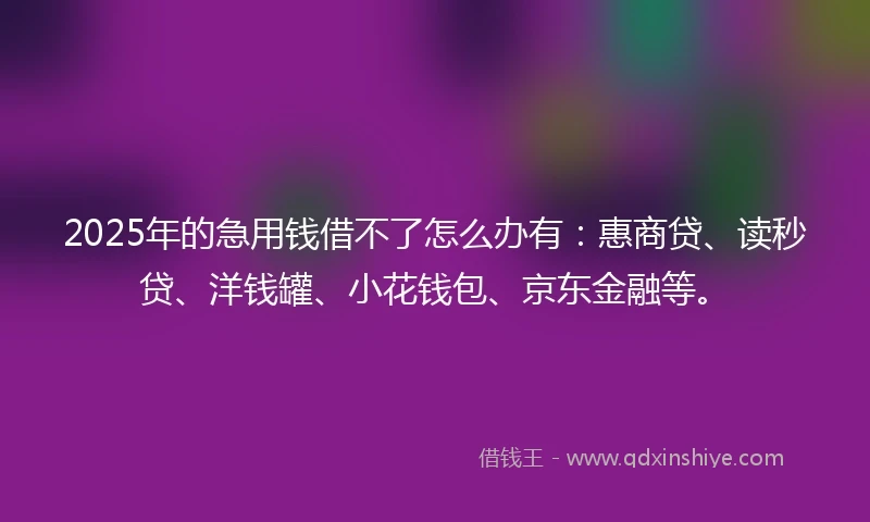 2025年的急用钱借不了怎么办有：惠商贷、读秒贷、洋钱罐、小花钱包、京东金融等。