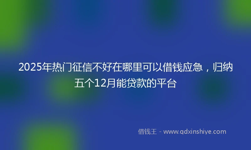 2025年热门征信不好在哪里可以借钱应急，归纳五个12月能贷款的平台