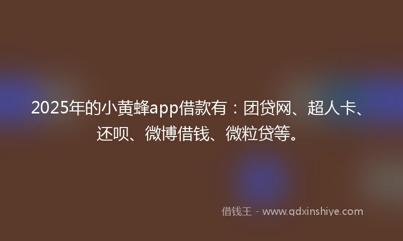 2025年的小黄蜂app借款有：团贷网、超人卡、还呗、微博借钱、微粒贷等。