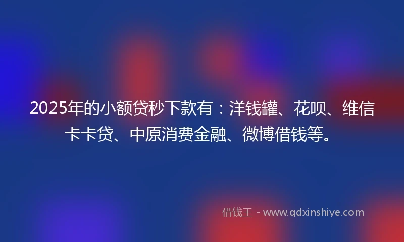 2025年的小额贷秒下款有：洋钱罐、花呗、维信卡卡贷、中原消费金融、微博借钱等。