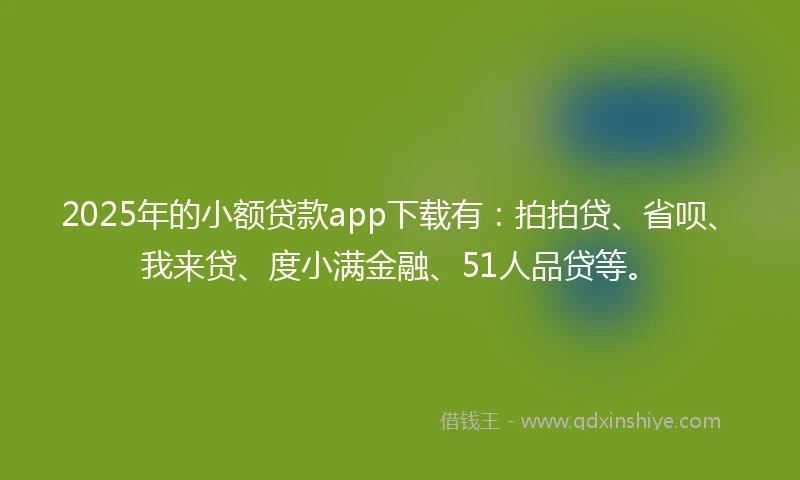 2025年的小额贷款app下载有：拍拍贷、省呗、我来贷、度小满金融、51人品贷等。