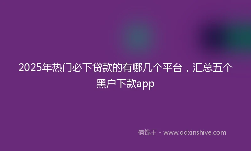 2025年热门必下贷款的有哪几个平台，汇总五个黑户下款app