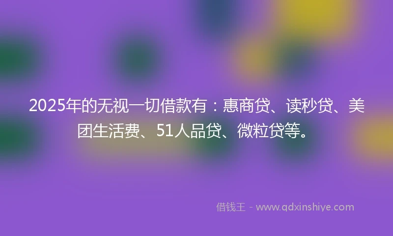 2025年的无视一切借款有：惠商贷、读秒贷、美团生活费、51人品贷、微粒贷等。