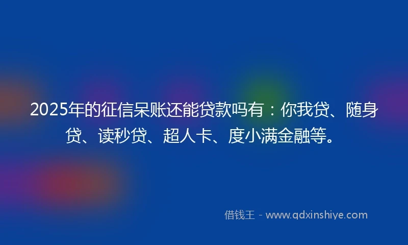 2025年的征信呆账还能贷款吗有：你我贷、随身贷、读秒贷、超人卡、度小满金融等。