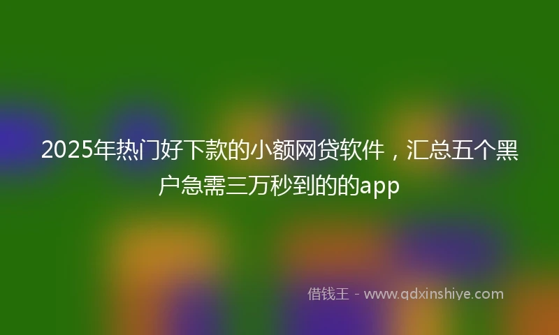 2025年热门好下款的小额网贷软件，汇总五个黑户急需三万秒到的的app