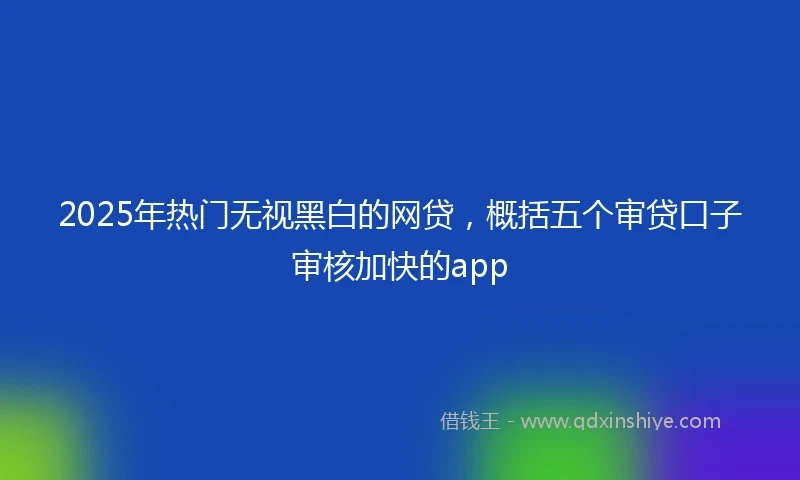 2025年热门无视黑白的网贷，概括五个审贷口子审核加快的app