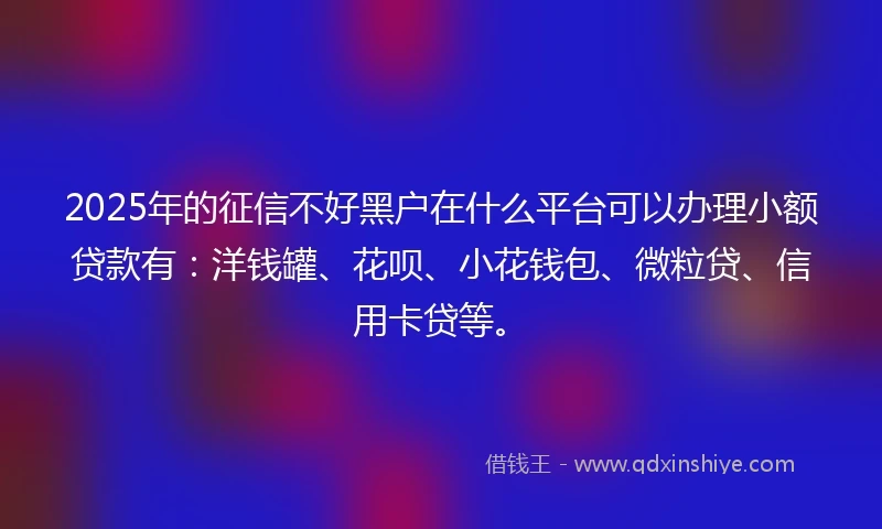 2025年的征信不好黑户在什么平台可以办理小额贷款有：洋钱罐、花呗、小花钱包、微粒贷、信用卡贷等。