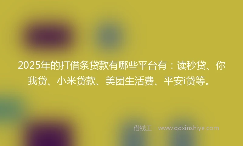 2025年的打借条贷款有哪些平台有：读秒贷、你我贷、小米贷款、美团生活费、平安i贷等。