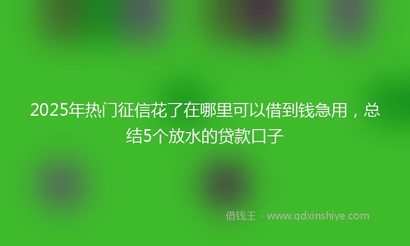 2025年热门征信花了在哪里可以借到钱急用,总结5个放水的贷款口子