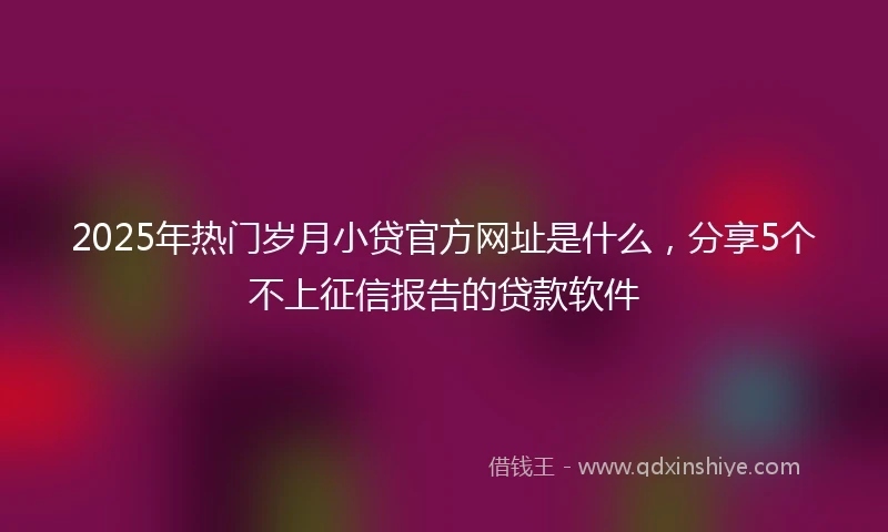 2025年热门岁月小贷官方网址是什么，分享5个不上征信报告的贷款软件