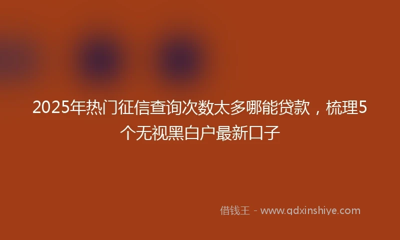 2025年热门征信查询次数太多哪能贷款，梳理5个无视黑白户最新口子