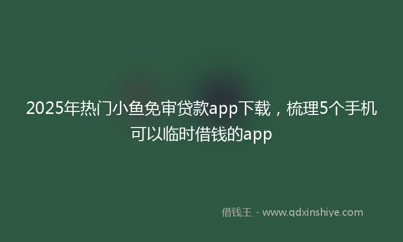 2025年热门小鱼免审贷款app下载，梳理5个手机可以临时借钱的app
