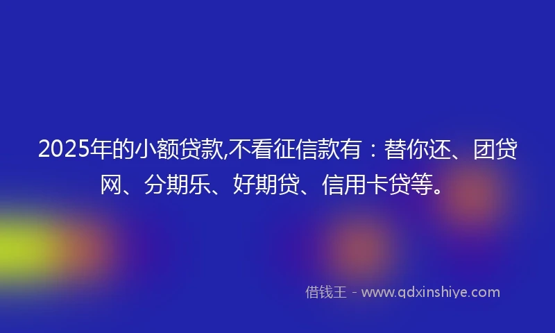 2025年的小额贷款,不看征信款有：替你还、团贷网、分期乐、好期贷、信用卡贷等。